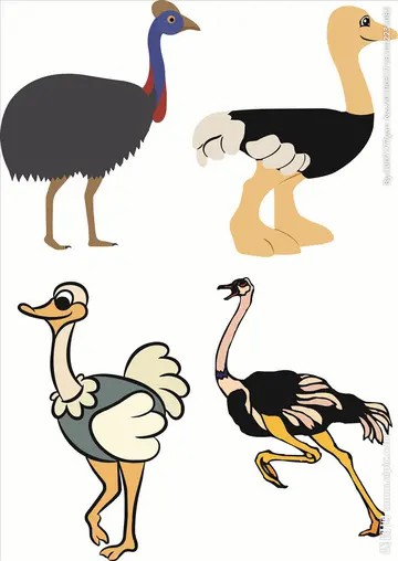 鸵鸟头像 卡通可爱鸵鸟头像