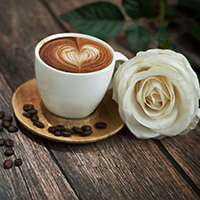 咖啡+白玫瑰