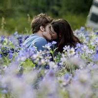 微信暮光之城男女主叫花丛中接吻浪漫头像
