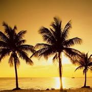 迷人的巴厘岛黄昏景色微