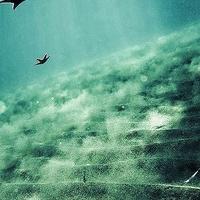 有意境的唯美海底世界微信头像