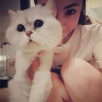 美女和猫的微信头像微信美女头像