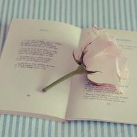 微信小清新意境头像