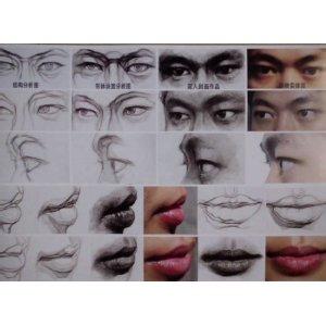 素描头像块面结构