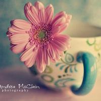 最新好看高清头像